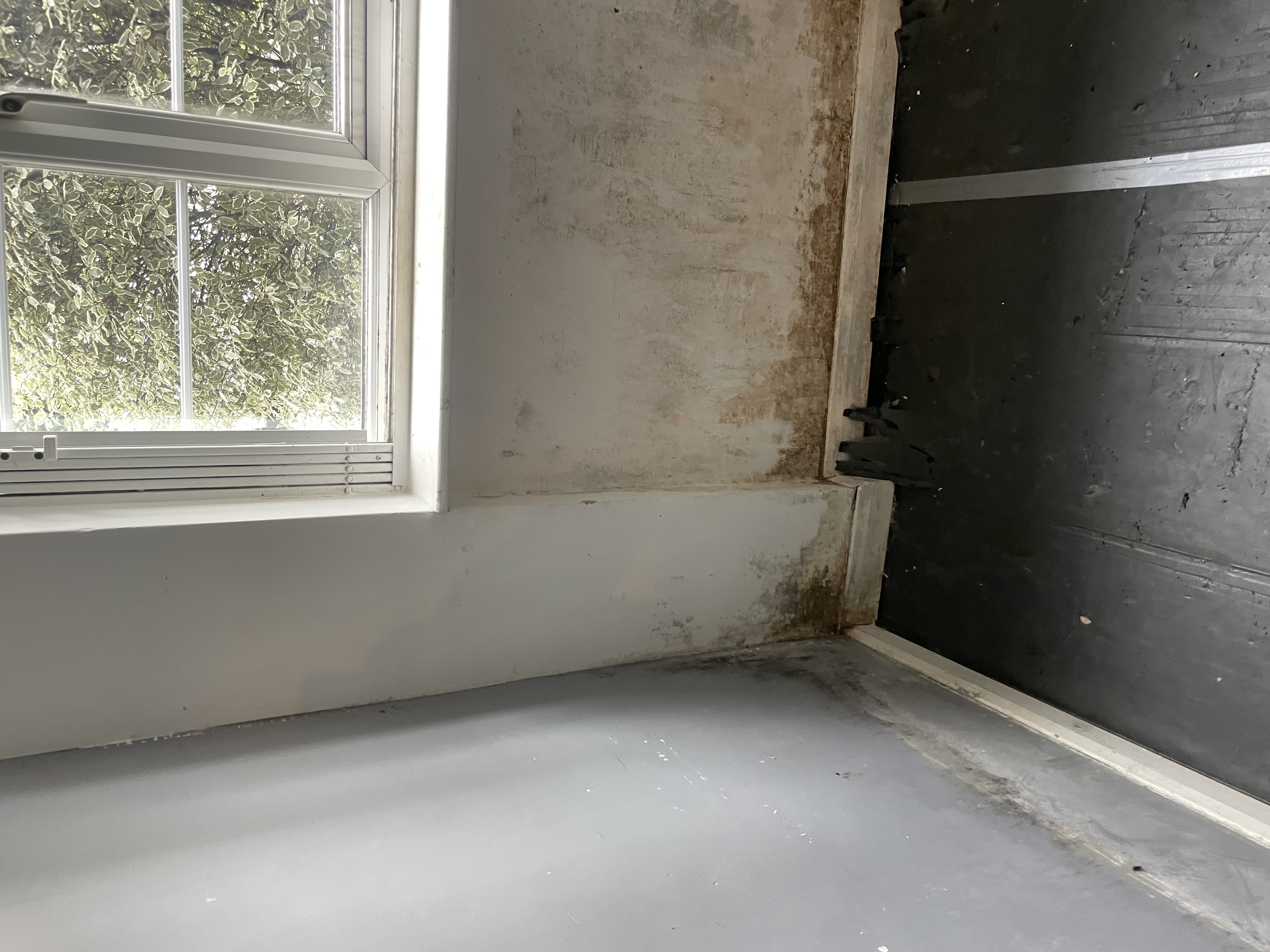 Rising Damp
