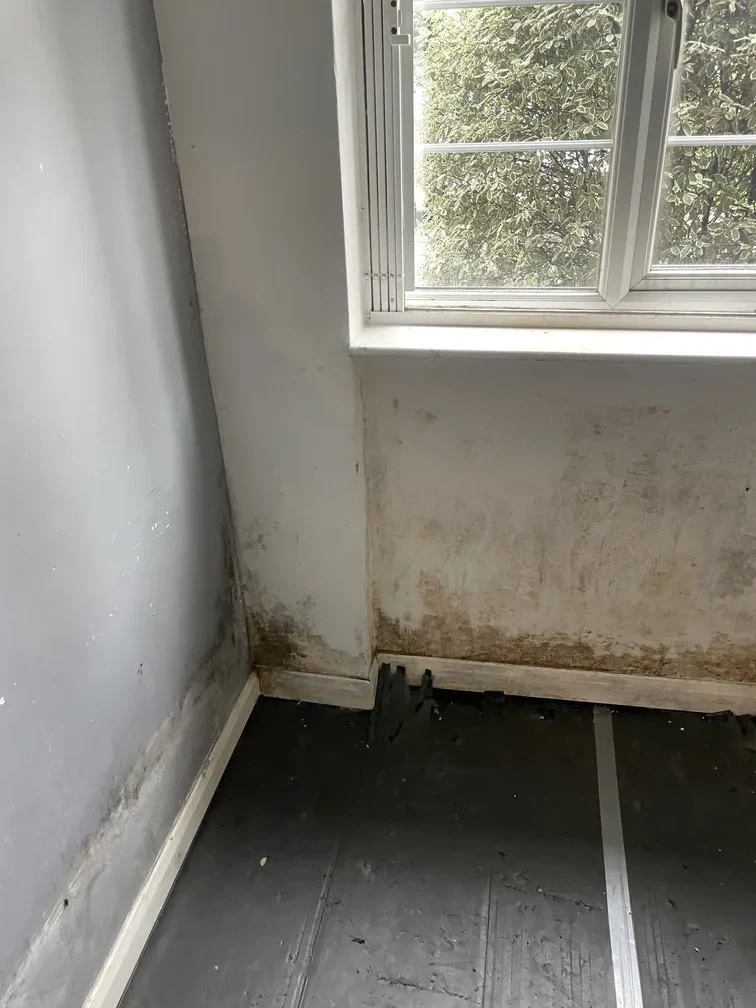 Rising Damp